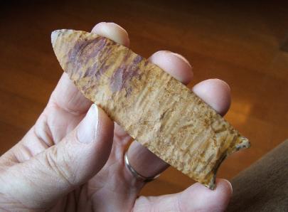 Clovis Style Spear Point -- Palm Fossil -- 2008